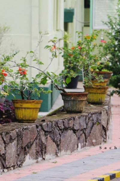 10339651 465368543608441 4927165965702911535 N