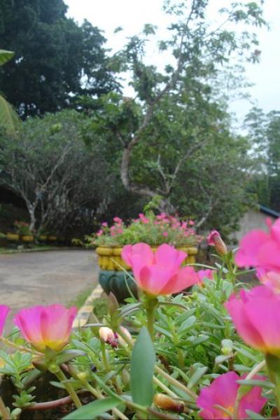 283326 218055618246413 7379172 N