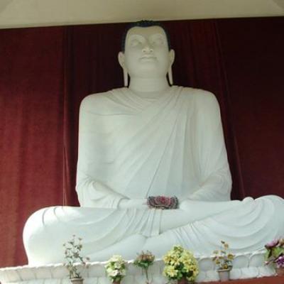 308892 201971776543966 1194296120 N