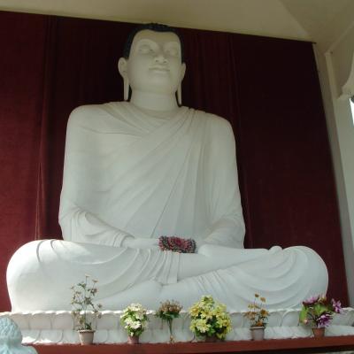 891572 441079362669446 1351610694 O